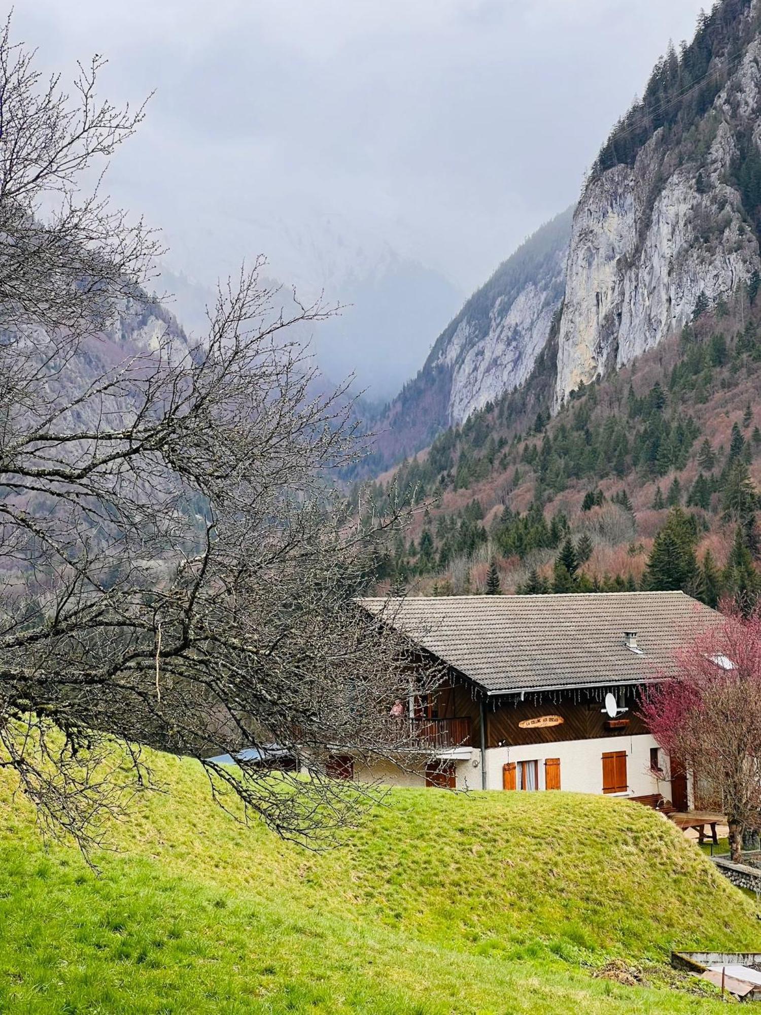 Chalet Du Bonheur Villa Bonnevaux  Esterno foto